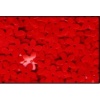 Cekiny w kształcie kwiatu , op. 6g . Kolor : Czerwone  Kod: TL-CK-20Z