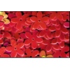 Cekiny w kształcie kwiatu , op. 6g . Kolor : Eozyna – opalizujące  zielonkawo  Kod: TL-CK-21