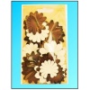 Papierowe kwiatki,opak. 5G , kolory : tonacja brązowa .  Kod towaru: KP1070