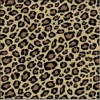 Bibuła satynowana , Rodzaj : Leopard , format : 50x76 a 5 - Kod: TIS-W-196