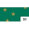 Bristol zielony w gwiazdy złote ( opak. 10 ark.) 50x70 Kod: FO5851
