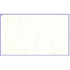Brokat biały opalizujący w kolorze białym Fiolka 9gr - , Kod: TL9-03
