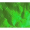 Folia metaliczna kolorowa. Op. 10 ark. Kolor : Jodłowy błysk 50x70 cm- Kod: KT-FM558