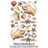 Kalkomania : Peach Seashells Translucenf Kod : ROY1156T 
