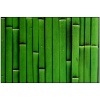 Karton motywowy 23x33cm a 5 ark. gm. 270. Wzór: Zielony bambus Nadruk obustronnie jednakowy Kod towaru : UR1272-118