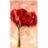 Kwiaty materiałowe 4cm,  6 szt czerwone .  Kod towaru: K744-20