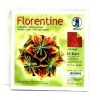 Papier do origami - Florentine Vintage zielono-czerwony (4) Format 15x15 cm - Kod : UR2360 55 04